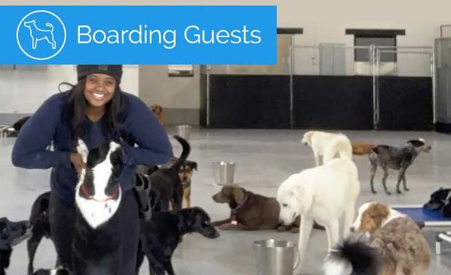 dog-boarding-service-utah-2021