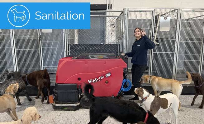 dog-sanitation-utah-2021